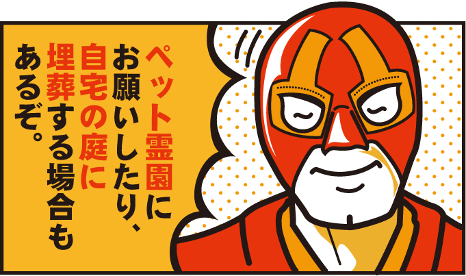 ペット霊園を使ったり、自宅の庭に埋葬する場合もあるぞ。